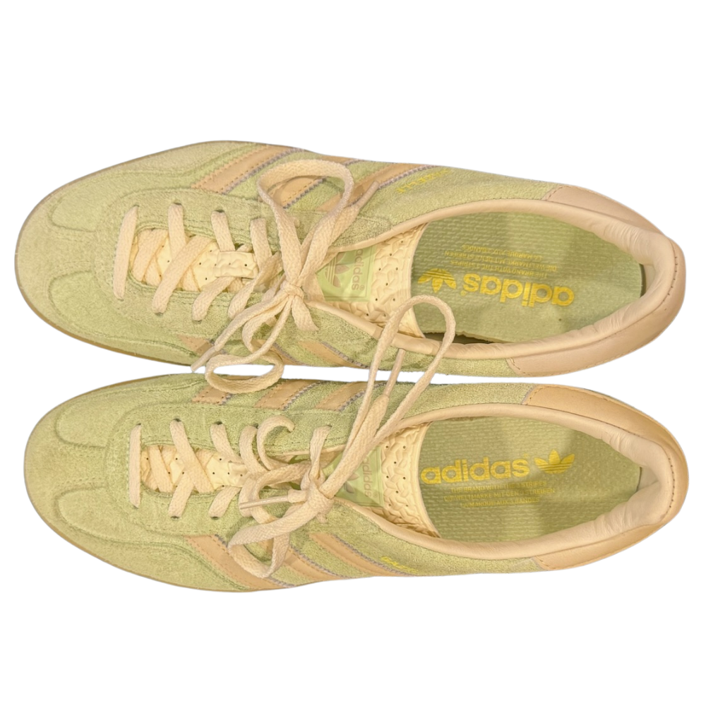 Tenis Gazelle